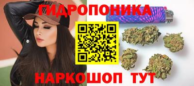 spice Славгород