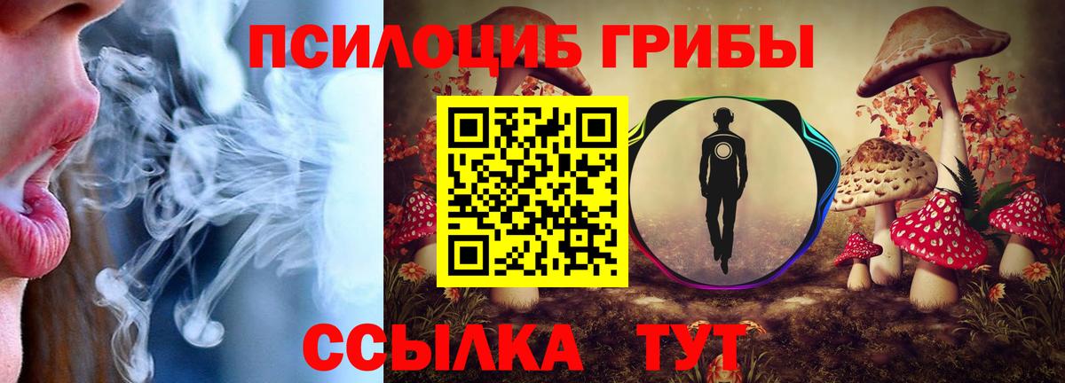 Псилоцибиновые грибы MAGIC MUSHROOMS Печора